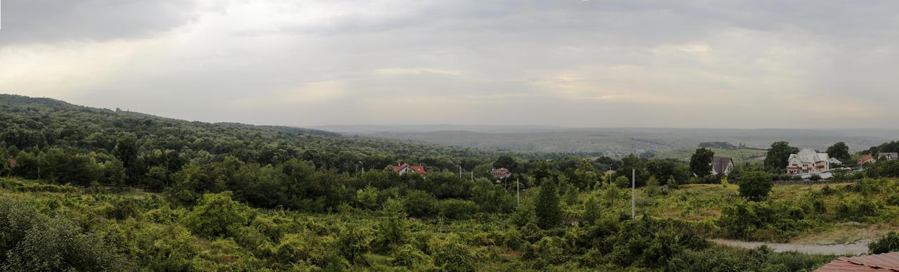 Pensiunea Taverna Bucium Яссы Экстерьер фото